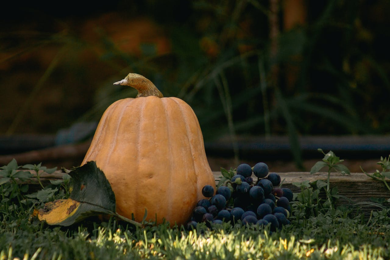 A rustic autumn still life featuring a pumpkin and grapes on grass, evoking a fall harvest vibe.